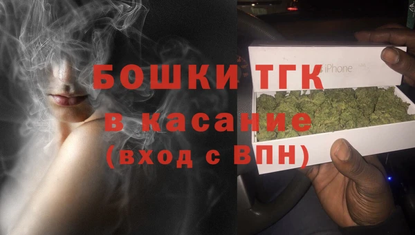 ECSTASY Заводоуковск